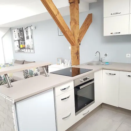 Cat Apartament Lisboa שצ'צ'ין
